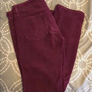 GAP purple corduroy pants